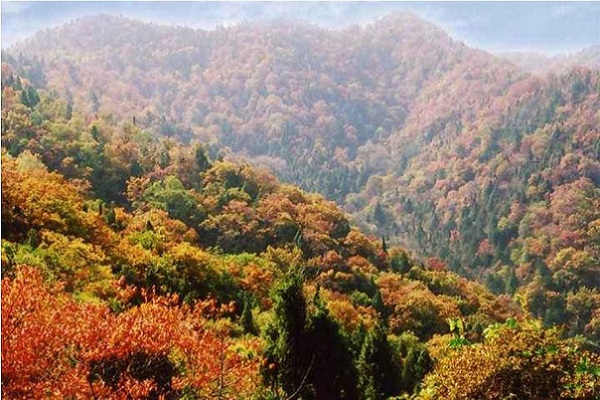 銅川云夢(mèng)山風(fēng)景